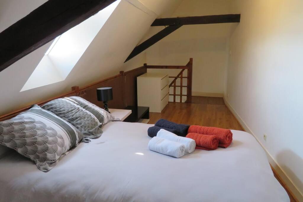 Loft De 53 M2 Centre Ville Blois,Tv Exterior foto